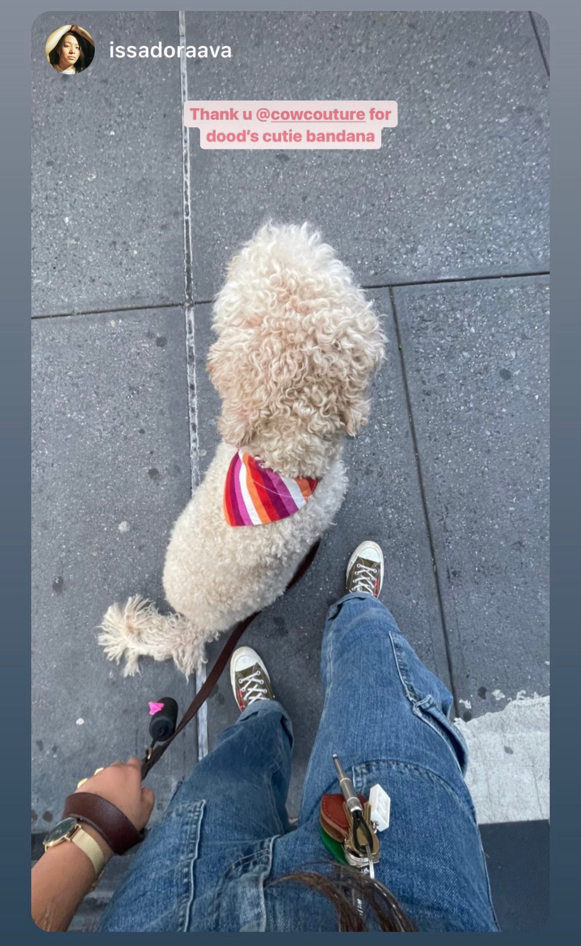 Lesbian Pride Flag Dog Collar Bandana