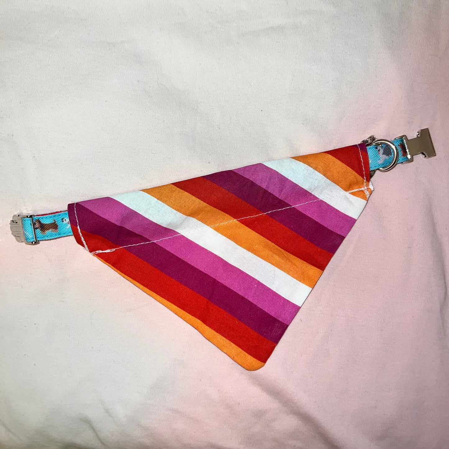 Lesbian Pride Flag Dog Collar Bandana