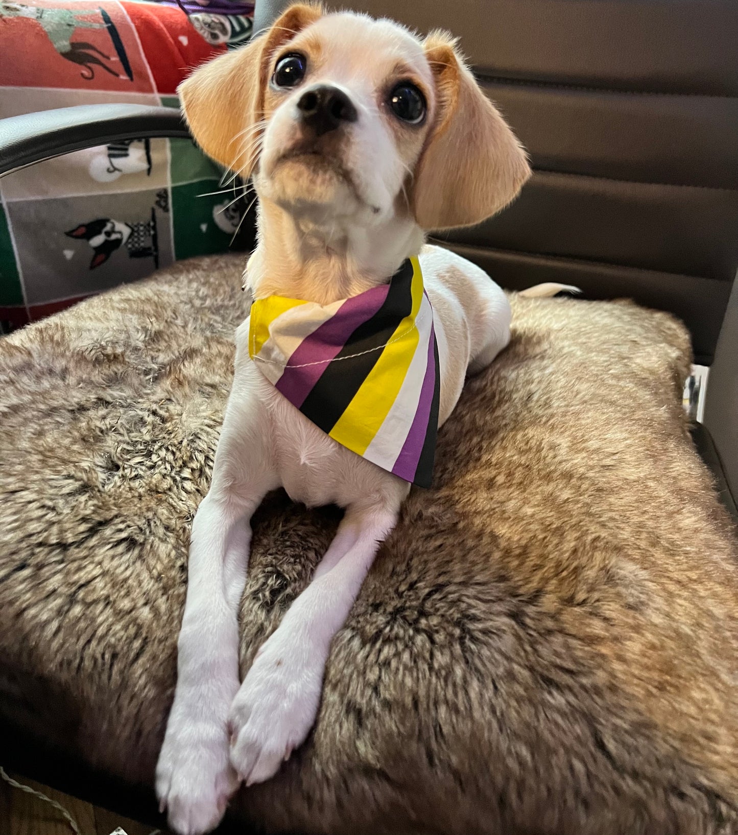 Non-Binary Pride Flag Dog Collar Bandana