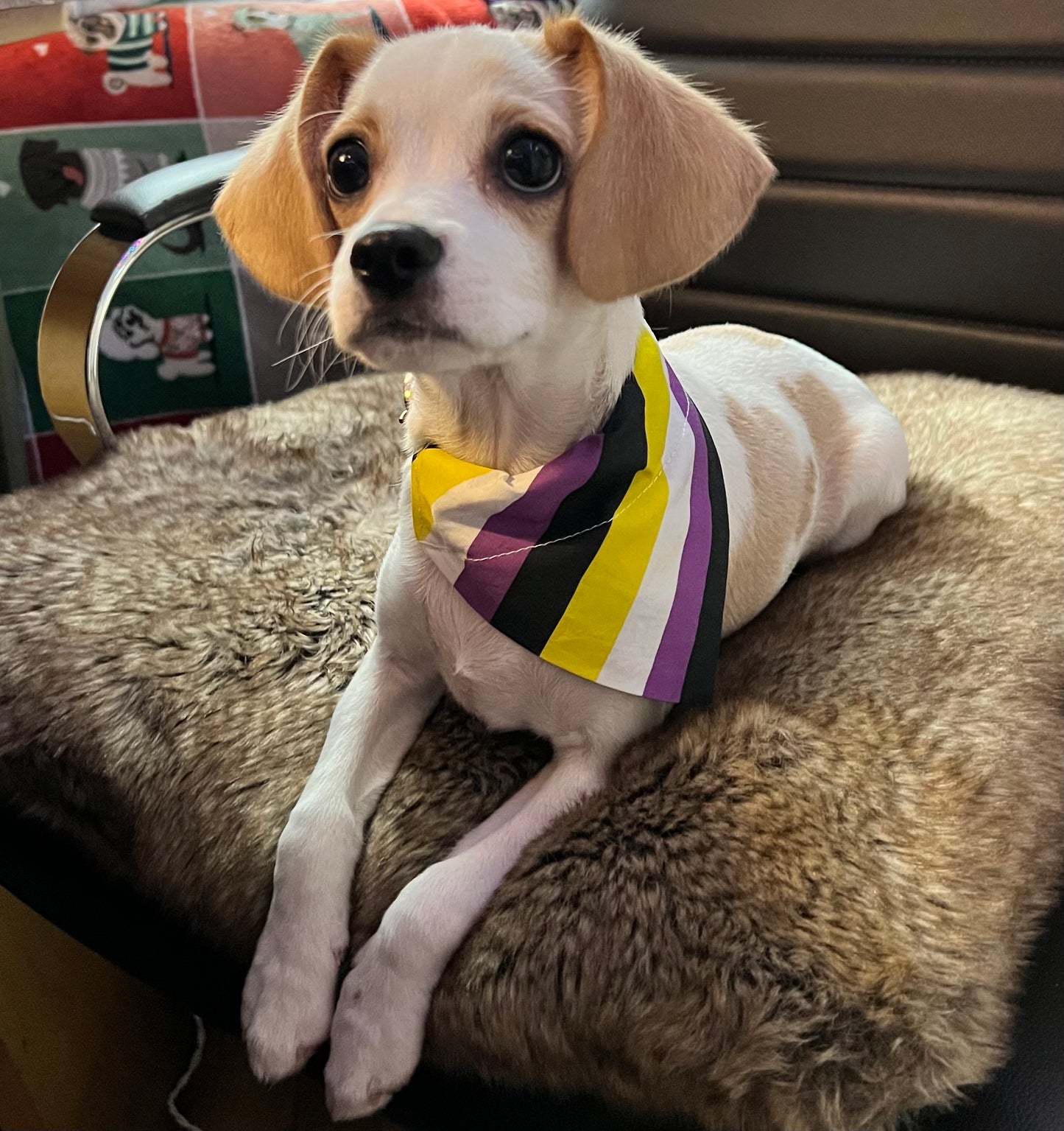 Non-Binary Pride Flag Dog Collar Bandana