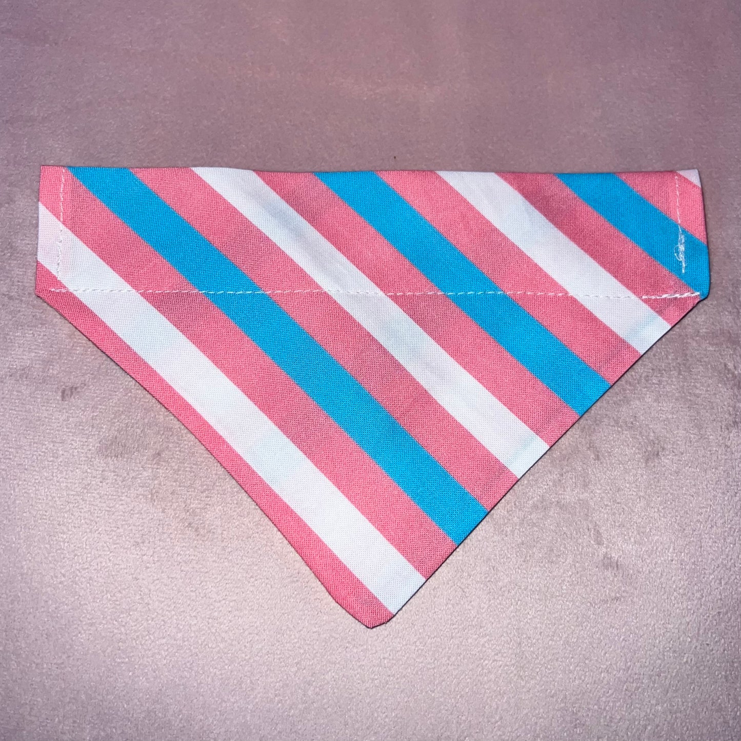 Trans Pride Flag Dog Collar Bandana